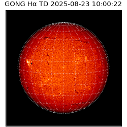 gong - 2025-08-23T10:00:22