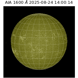 saia - 2025-08-24T14:00:14.118000