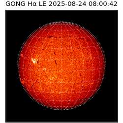 gong - 2025-08-24T08:00:42