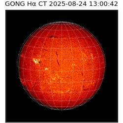gong - 2025-08-24T13:00:42