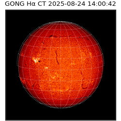 gong - 2025-08-24T14:00:42