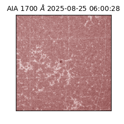 saia - 2025-08-25T06:00:28.744000