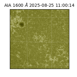 saia - 2025-08-25T11:00:14.125000