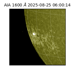saia - 2025-08-25T06:00:14.126000