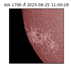 saia - 2025-08-25T11:00:28.717000