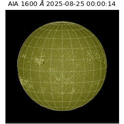 saia - 2025-08-25T00:00:14.126000