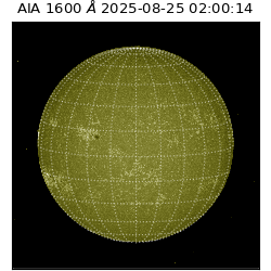 saia - 2025-08-25T02:00:14.126000