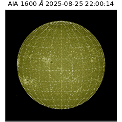 saia - 2025-08-25T22:00:14.129000