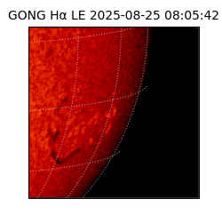 gong - 2025-08-25T08:05:42