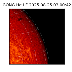 gong - 2025-08-25T03:00:42