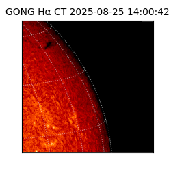gong - 2025-08-25T14:00:42