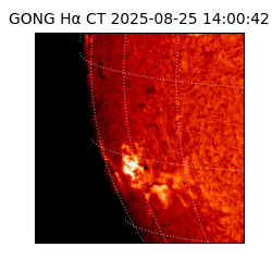 gong - 2025-08-25T14:00:42