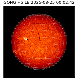 gong - 2025-08-25T00:02:42