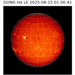 gong - 2025-08-25T01:00:42