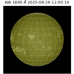 saia - 2025-08-26T12:00:14.125000