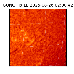 gong - 2025-08-26T02:00:42