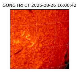 gong - 2025-08-26T16:00:42