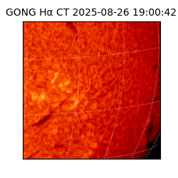 gong - 2025-08-26T19:00:42