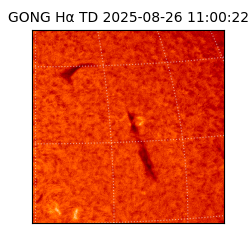 gong - 2025-08-26T11:00:22
