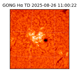 gong - 2025-08-26T11:00:22
