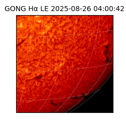 gong - 2025-08-26T04:00:42