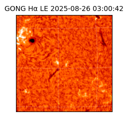 gong - 2025-08-26T03:00:42