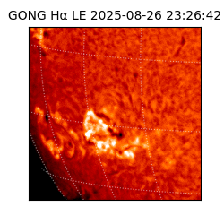 gong - 2025-08-26T23:26:42