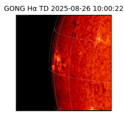 gong - 2025-08-26T10:00:22