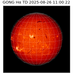 gong - 2025-08-26T11:00:22