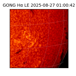 gong - 2025-08-27T01:00:42