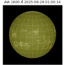 saia - 2025-08-28T01:00:14.126000