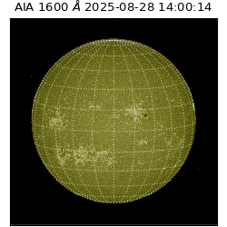 saia - 2025-08-28T14:00:14.126000