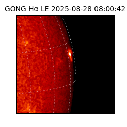 gong - 2025-08-28T08:00:42