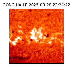 gong - 2025-08-28T23:24:42