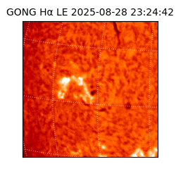 gong - 2025-08-28T23:24:42