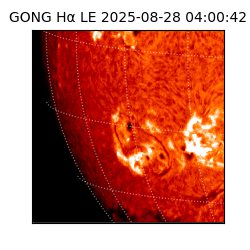 gong - 2025-08-28T04:00:42