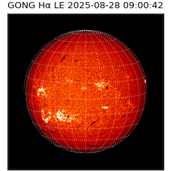 gong - 2025-08-28T09:00:42