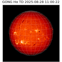 gong - 2025-08-28T11:00:22