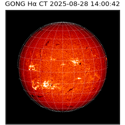 gong - 2025-08-28T14:00:42