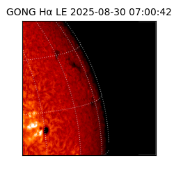 gong - 2025-08-30T07:00:42