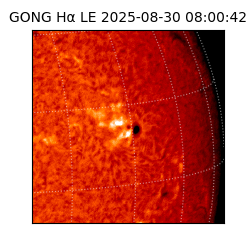 gong - 2025-08-30T08:00:42