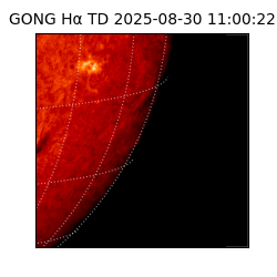 gong - 2025-08-30T11:00:22