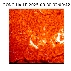 gong - 2025-08-30T02:00:42