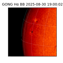 gong - 2025-08-30T19:00:02