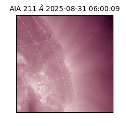 saia - 2025-08-31T06:00:09.640000