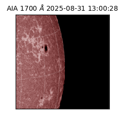 saia - 2025-08-31T13:00:28.717000