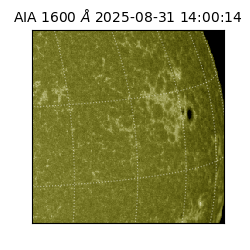 saia - 2025-08-31T14:00:14.126000