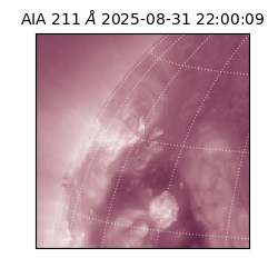 saia - 2025-08-31T22:00:09.631000