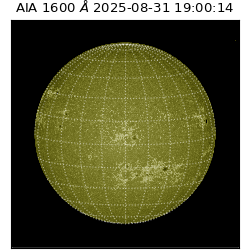 saia - 2025-08-31T19:00:14.126000