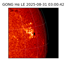 gong - 2025-08-31T03:00:42